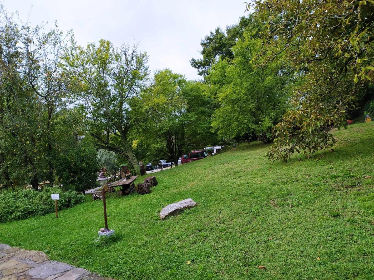 Agriturismo Montesalce Gubbio Extérieur photo