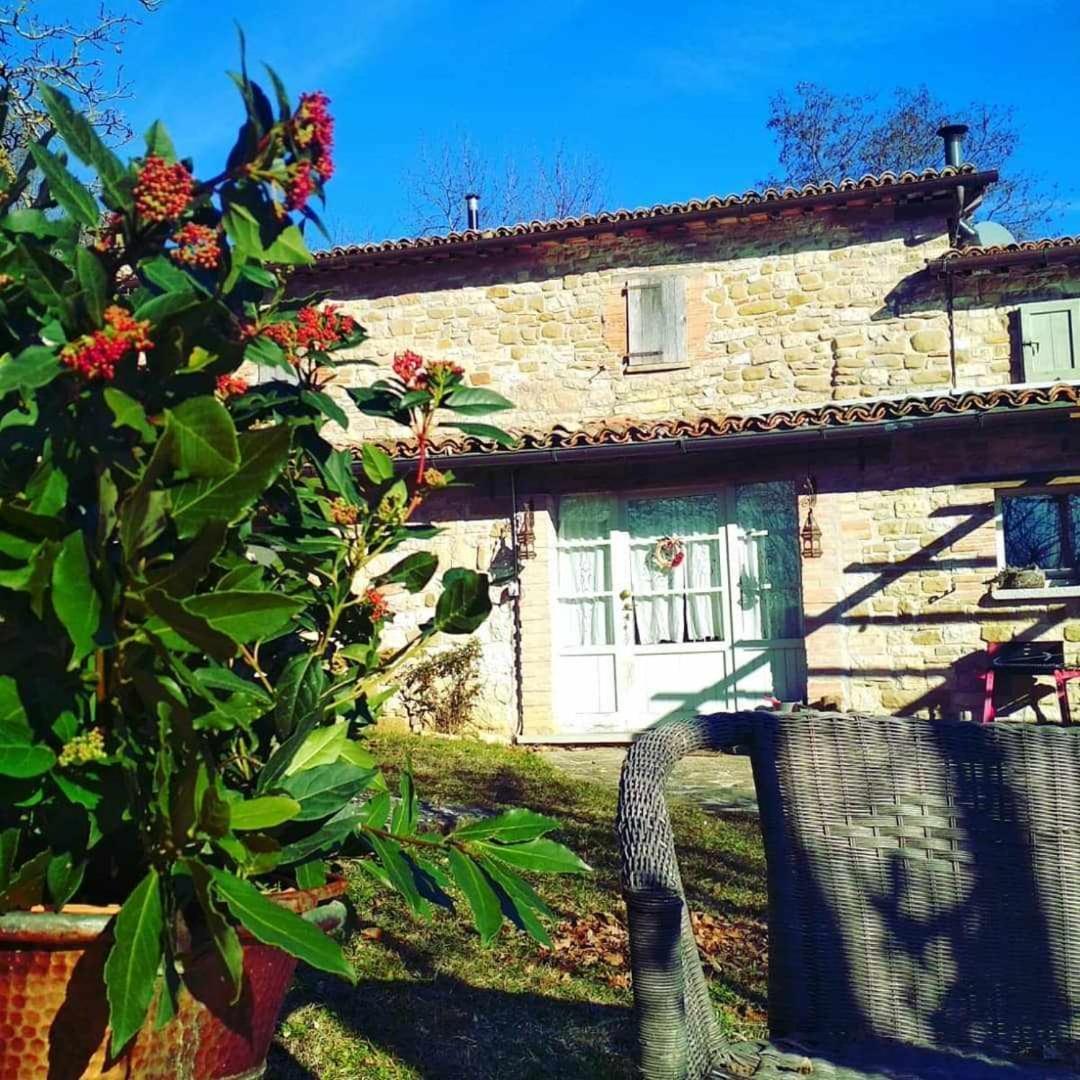 Agriturismo Montesalce Gubbio Extérieur photo